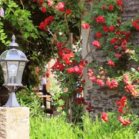 Pension Martinerhof Wintrich Εξωτερικό φωτογραφία