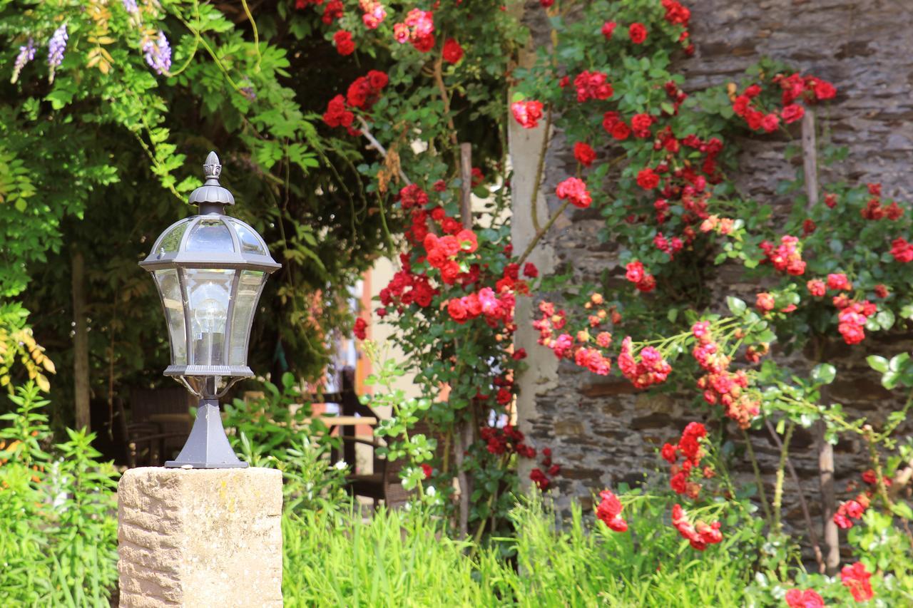 Pension Martinerhof Wintrich Εξωτερικό φωτογραφία